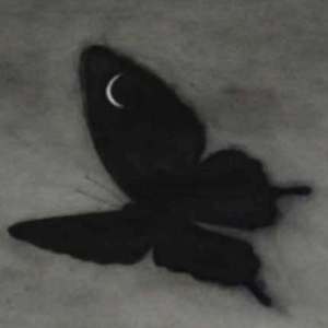 美女视频日逼视频
